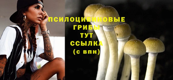ECSTASY Володарск
