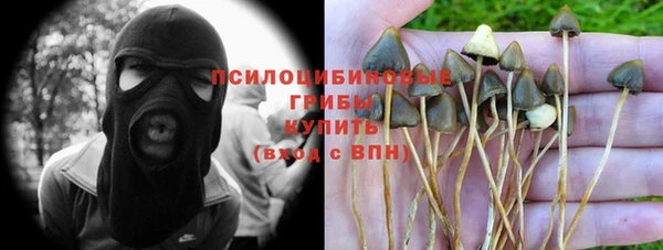 ешки Волосово
